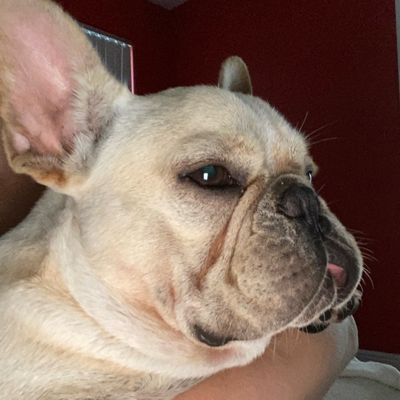 Meet your Posher, Gaby - Picture 8 of 10